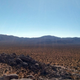 Illustration for article titled My first trip to Joshua Tree National Park